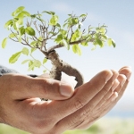 Danisco Releases Life Cycle Assessment for Impact of SOFT-N-SAFE™ Bio-based Plasticizer on Environment