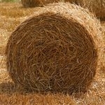 Można przerabiać biomasę na tworzywa