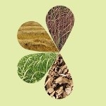 New concepts for the sustainable use of wood: a bio-refinery in the Westerwald?