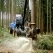 SABIC’s 3D-Formed LEXAN™ Sheet Increases Visibility, Safety, Comfort and Performance of Rottne Forestry Vehicle Glazing