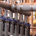 BASF inwestuje w technologię enzymów