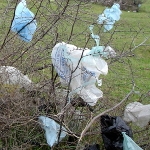 Foliówka z Brukseli