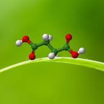 Reverdia shows 100% bio-based succinic acid