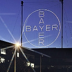Bayer MaterialScience zwalnia