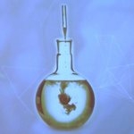 Top menedżerowie o przyszłości sektora chemicznego