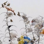 Jednorazówki nie znikną z rynku od razu