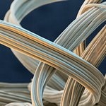 BASF wprowadza PolyTHF z surowców odnawialnych