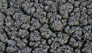 Biopaliwo ze ścieków i poliolefin poużytkowych