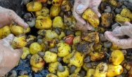 Dobre rezultaty testów biopochodnego plastyfikatora do PVC